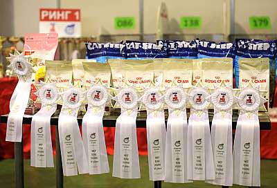 �������� ����� 18-19 ������� 2014 WCF-����� 169A2847 copy.jpg